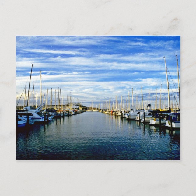 Yacht Club, Hafen Auckland, North Island Postkarte (Vorderseite)