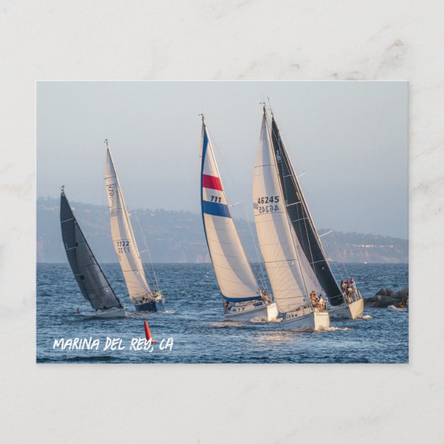 Yacht Race - Marina Del Rey, CA Postkarte (Vorderseite)