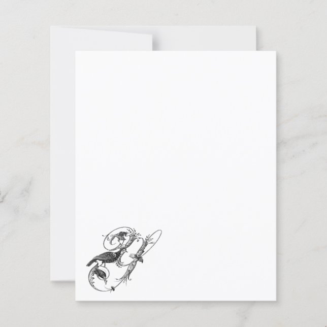 Yacou Bird Vintag Design Italienisches Papier (Vorderseite)