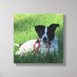 Yahtzee Der Hund mit Leash Canvas Print Leinwanddruck