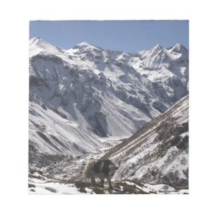 Yak in der Nähe des Mt. Jhomolari, Jangothang Jigm Notizblock