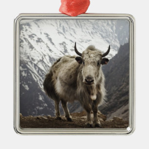 Yak in Nepal Ornament Aus Metall