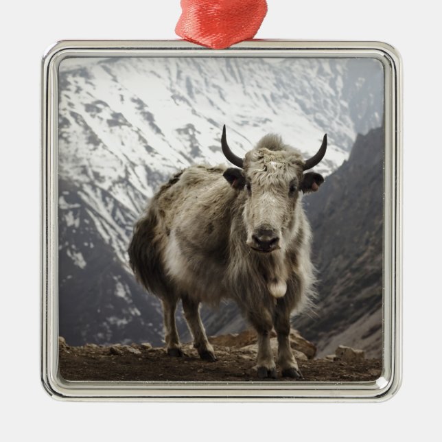 Yak in Nepal Ornament Aus Metall (Vorne)