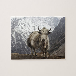 Yak in Nepal Puzzle