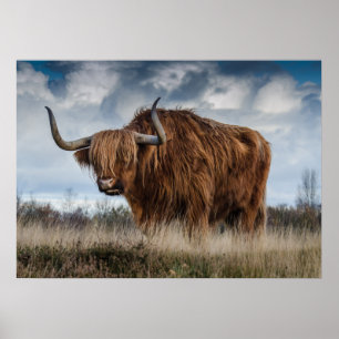 Yak-Plakat Poster
