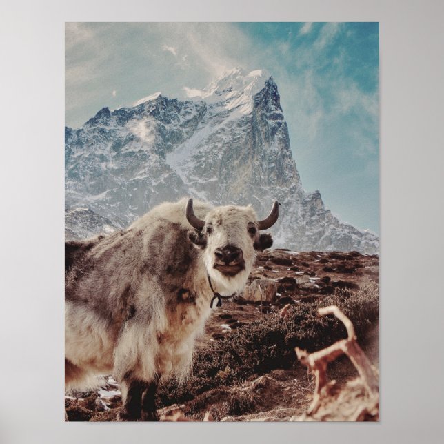 Yakety Yak Poster (Vorne)