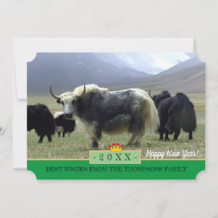 Yaks & Happy New Year! Karte/Himalaya, Tibet Feiertagskarte
