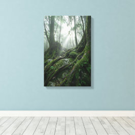 Yakushima 'Atem des Lebens' | Uralte Biophilie Leinwanddruck