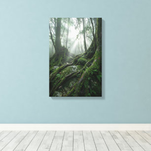 Yakushima 'Atem des Lebens' Uralte Biophilie Leinwanddruck