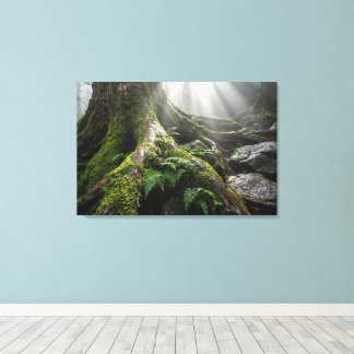 Yakushima Moss Forest 'Breath of Life' | Biophilic Leinwanddruck