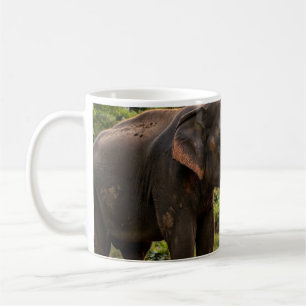 Yala National Park Elefantentasse - Sri Lanka Wild Kaffeetasse
