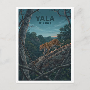 Yala National Park Tissamaharama Sri Lanka Reise Postkarte