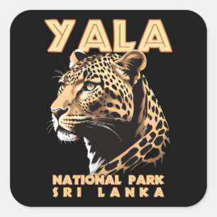 Yala Nationalpark - Sri Lanka Leopard Quadratischer Aufkleber