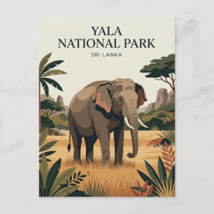 Yala-Nationalpark Sri Lanka Postkarte