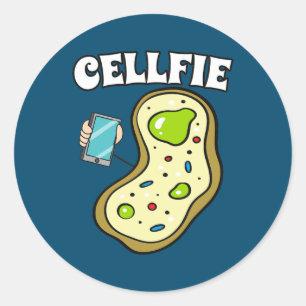 Y'all braucht Science Chemistry Biology Physics Runder Aufkleber