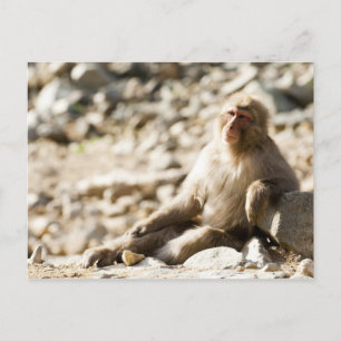 Yamanouchi, Chubu, Präfektur Nagano, Japan 2 Postkarte