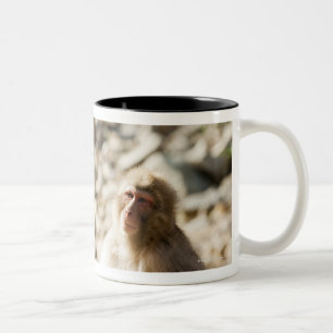 Yamanouchi, Chubu, Präfektur Nagano, Japan 2 Zweifarbige Tasse