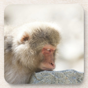 Yamanouchi, Chubu, Präfektur Nagano, Japan Getränkeuntersetzer