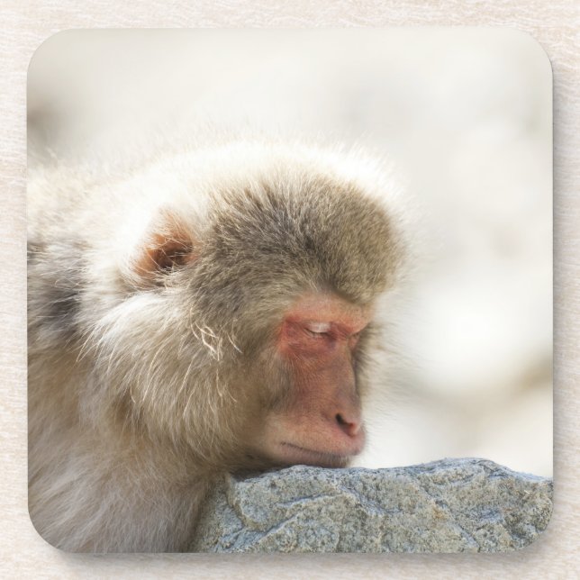 Yamanouchi, Chubu, Präfektur Nagano, Japan Getränkeuntersetzer (Vorderseite)