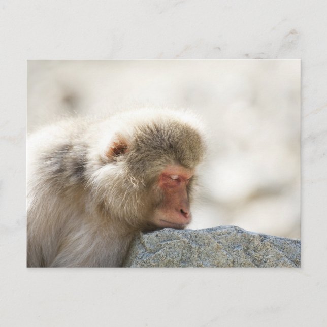 Yamanouchi, Chubu, Präfektur Nagano, Japan Postkarte (Vorderseite)