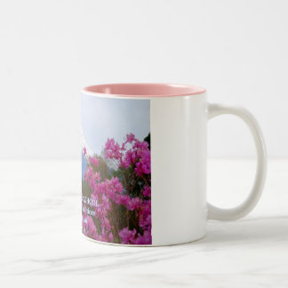 YAMATO HOCHSCHULE ZWEIFARBIGE TASSE