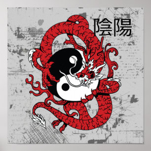 Yang-Chinesisches Symbol und Drache Poster
