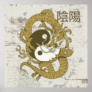 Yang-Chinesisches Symbol und Drache Poster