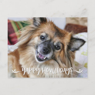 YAPPY HOWLIDAYS Lustiges Hunde-Foto Feiertagspostkarte