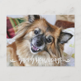 YAPPY HOWLIDAYS Wird Funny Dog Foto Feiertagspostkarte