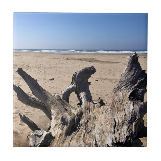 Yaquina Bay Staat Recreation Site, Newport, Oregon Fliese (Vorderseite)