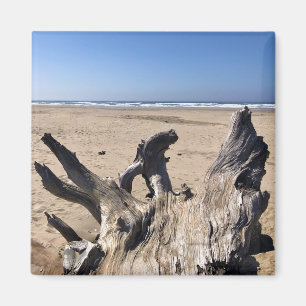 Yaquina Bay Staat Recreation Site, Newport, Oregon Magnet