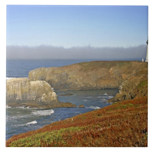 Yaquina Head Lighthouse in Newport Oregon Fliese (Vorderseite)