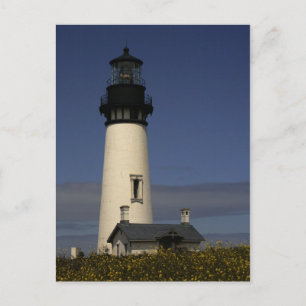 Yaquina Head Lighthouse - NEU Postkarte