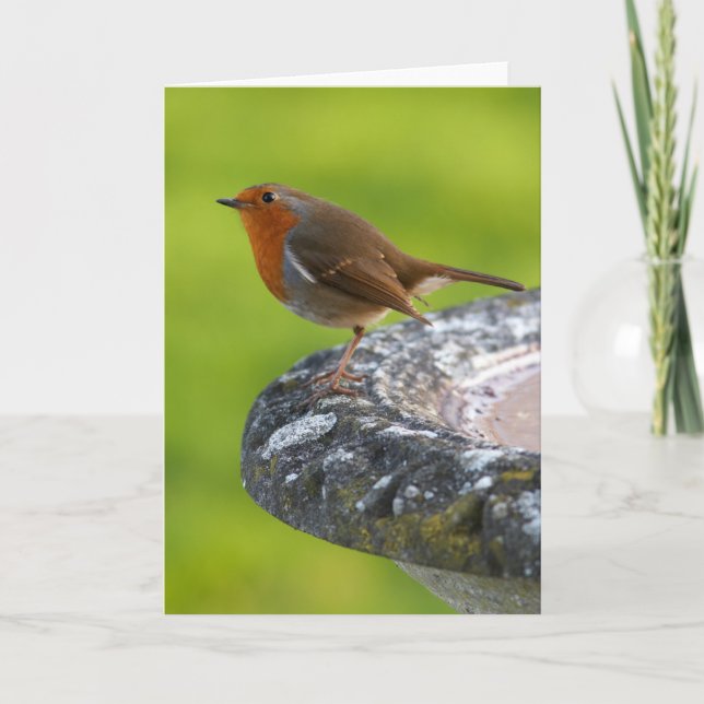 Yard-Chef-Gruß-Karte Karte (Vorderseite)