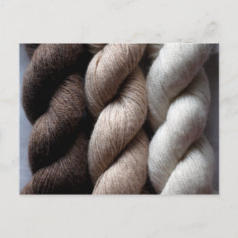 Yarn Brown Beige Cream Colored Alpaca Postkarte