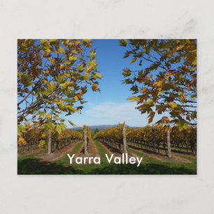 Yarra Valley Vineyard, Melbourne, Australien Postkarte