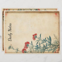 Yarrow Blume Illustration ephemere