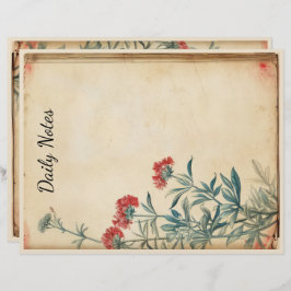 Yarrow Blume Illustration ephemere Briefbogen