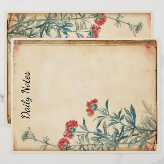 Yarrow Blume Illustration ephemere Briefbogen