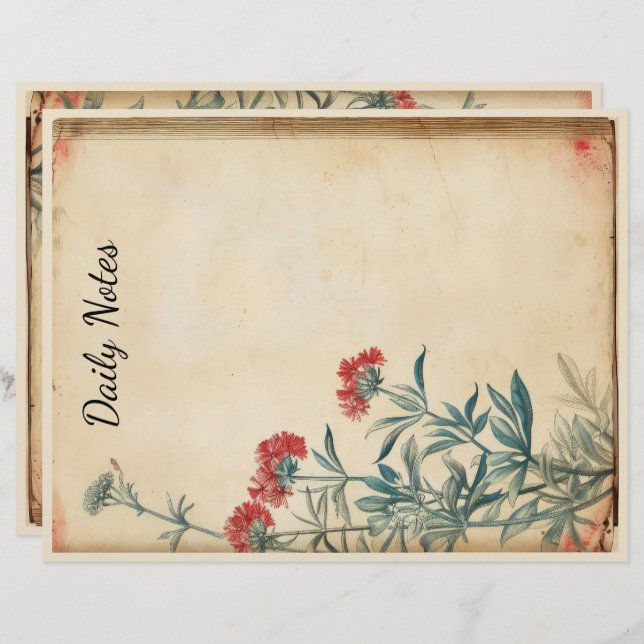 Yarrow Blume Illustration ephemere Briefbogen (Vorne/Hinten)