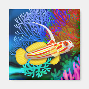 Yasha Hase Garnelegoby-Fisch-Magnet Magnet