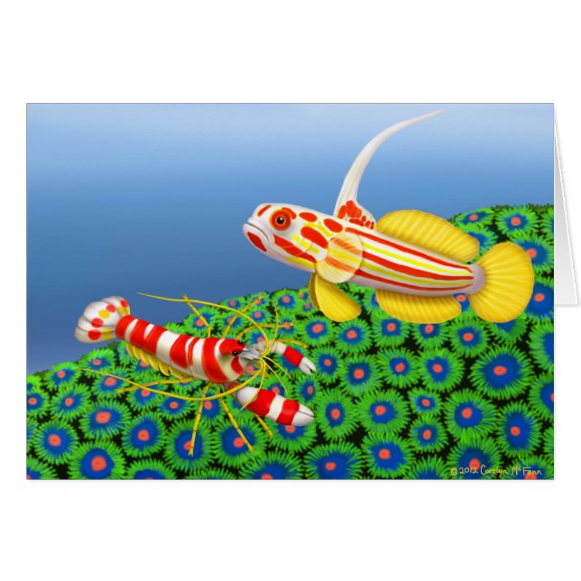 Yasha Hase Goby-u. Pistolen-Garnele-Karte (Vorderseite (Horizontal))