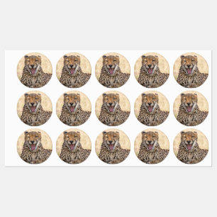 Yawna Cheetah Etiketten