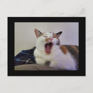 Yawning Calico Cat Postkarte