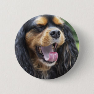Yawning Cavalier King Charles Spaniel Button