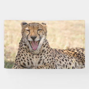 Yawning Cheetah Banner