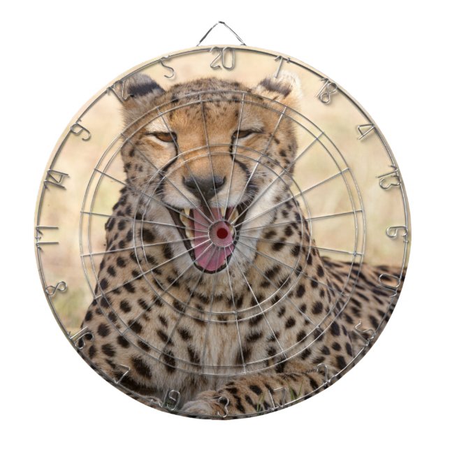 Yawning Cheetah Dartscheibe (vorne)
