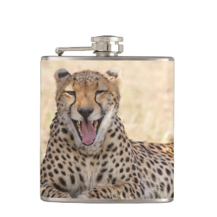 Yawning Cheetah Flachmann