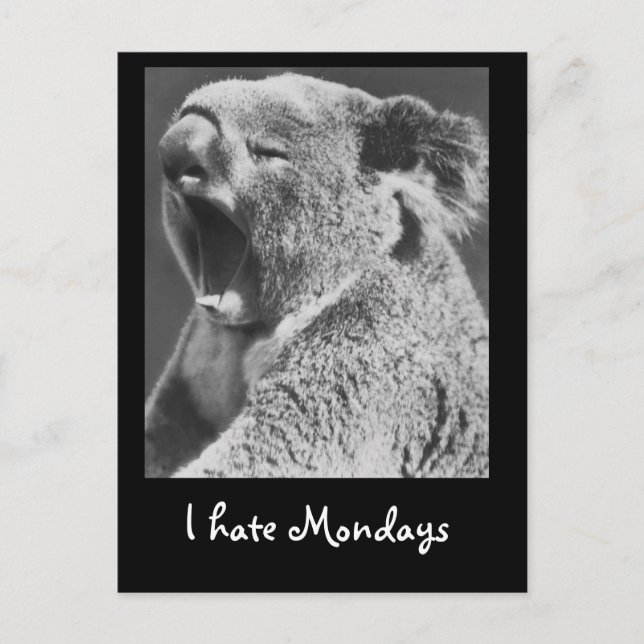Yawning Koala Postkarte (Vorderseite)