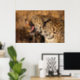 Yawning Leopard zeigt Zähne Poster (Home Office)